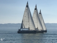 4. Rhein-Neckar Seesegler Cup (RNSC) 2019 - AUSGEBUCHT