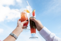 SRN Sommerfest 2019 - jetzt Anmelden